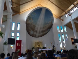 IMG_6890